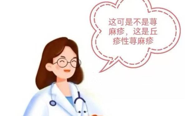 注意！别再把“虫咬包”当作普通荨麻疹了！